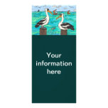 Pelicans rack card/bookmark