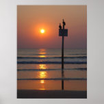 Pelicans Sunrise Ocean Daytona Beach FL Poster