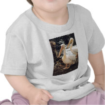 Pelicans Tee Shirt