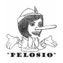 PELOSIO t-shirts