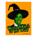 Pelsoi: Wicked Witch of the West