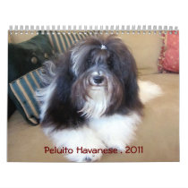 Peluito Havanese . 2011 Calendar