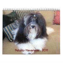 Peluito Havanese . 2011 Calendar