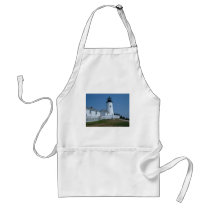 Pemaquid Point aprons