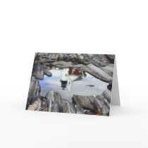 Pemaquid Reflections Note or Greeting Card