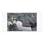 Pemaquid Reflections Photo Card