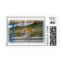 Pembroke Corgi Jumping postage