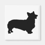 Pembroke Welsh Corgi (black) Magnets