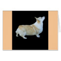Pembroke Welsh Corgi cards