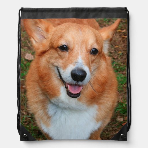 corgi plush backpack