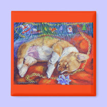 Pembroke Welsh Corgi Magnet magnets