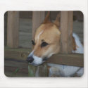 Pembroke Welsh Corgi Mousepad 002 by rlkeyer Pembroke Welsh Corgi Mousepad 002