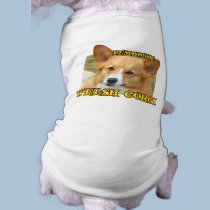 Pembroke Welsh Corgi Photo pet clothing by MenagerieMayhem Pembroke Welsh Corgi Photo pet clothing