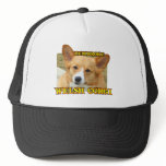 Pembroke Welsh Corgi Photo Mesh Hat