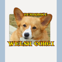Pembroke Welsh Corgi Photo Ladies t-shirts by MenagerieMayhem Pembroke Welsh Corgi Photo Ladies t-shirts