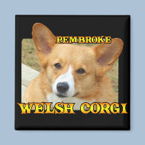Pembroke Welsh Corgi Photo magnets by MenagerieMayhem Pembroke Welsh Corgi Photo magnets