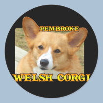 Pembroke Welsh Corgi Photo stickers by MenagerieMayhem Pembroke Welsh Corgi Photo stickers
