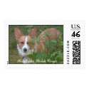 Pembroke Welsh Corgi postage