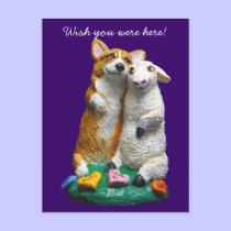 Pembroke Welsh Corgi Postcards