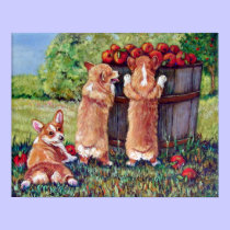 Pembroke Welsh Corgi Print Poster
