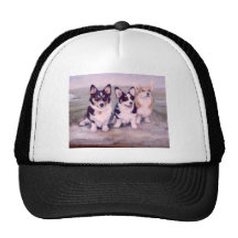 Pembroke Welsh Corgis Painting Hat