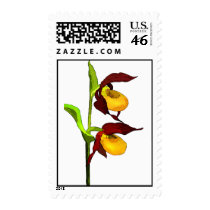 Pen and Ink Lady Slippers Stamp