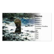 Pen shell business card templates
