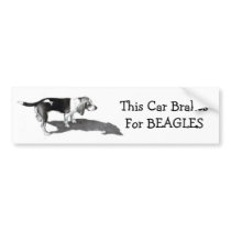PENCIL ART BEAGLES BUMPER STICKER bumper stickers