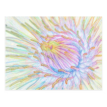 Pencil Crayon Lily postcards