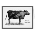 Pencil Drawing: Cow: Moving Announcement Cards