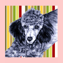 Pencil Poodle t-shirts
