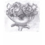 Pencil Sketch of Flowers ...