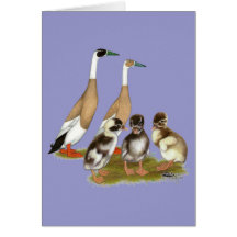 Penciled Runner Duck Family Greeting Cards