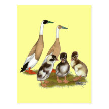 Penciled Runner Duck Family Postcards