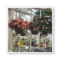"Pending Impatiens" Magnet