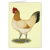 Penedesenca:  Wheaten Hen Greeting Cards