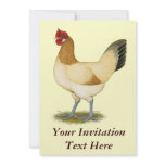 Penedesenca:  Wheaten Hen Invites