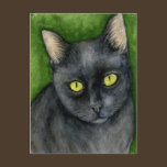 Penelope The Lucky Black Cat Postcard postcards