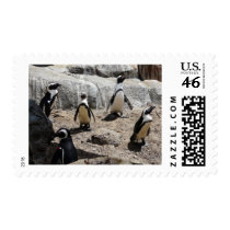 penguin,2 postage by pinkypetals penguin,2 postage