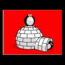 Penguin and Igloo Postcard postcards