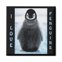 Penguin Baby Penguin-lover Fine Art Magnet