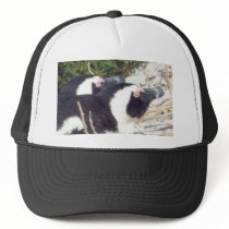 Penguin Baseball Cap hats