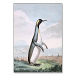 Penguin Bird Illustration Table Card