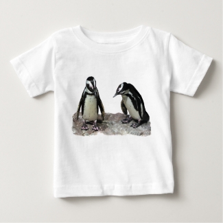 Penguin Birds