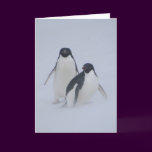Penguin Blizzard