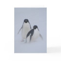 Penguin Blizzard cards by drthorpe Penguin Blizzard cards