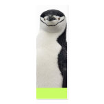 Penguin Book Group Business Card Templates