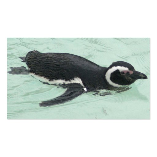 Penguin Business Card (back side)