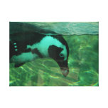 Penguin canvas prints