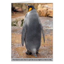 Penguin Card